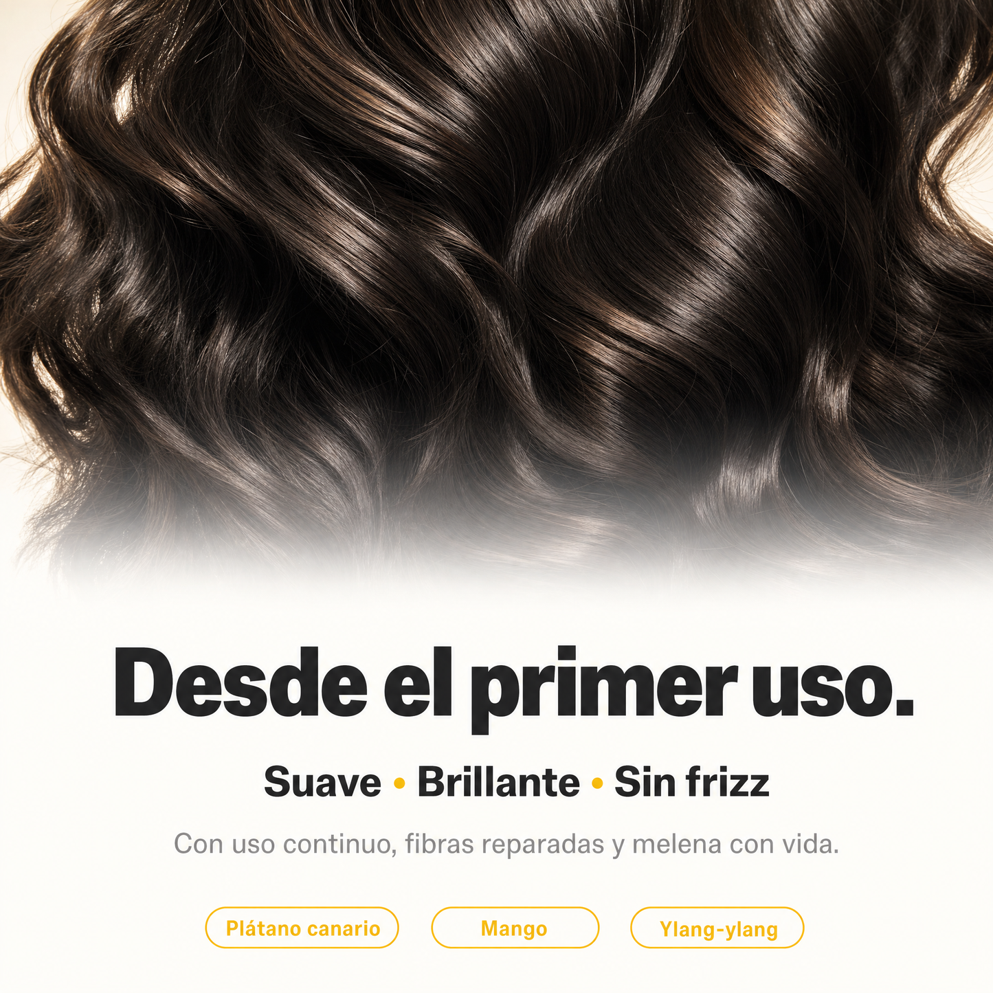 Yellow Shot — Champú Reparador Natural sin Sulfatos 300ml